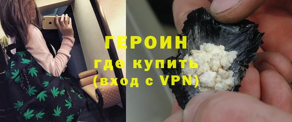 прущие грибы Новозыбков