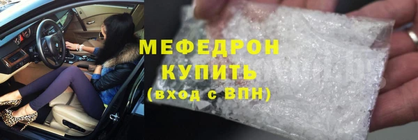 прущие грибы Новозыбков