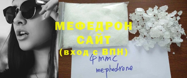 индика Новодвинск
