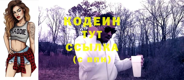 индика Новодвинск