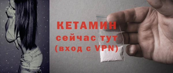 индика Новодвинск
