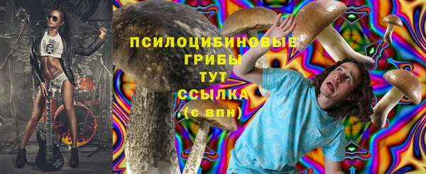 хмурый Вязники