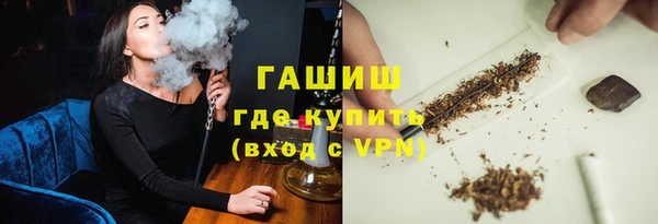 индика Новодвинск