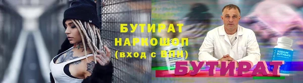 прущие грибы Новозыбков