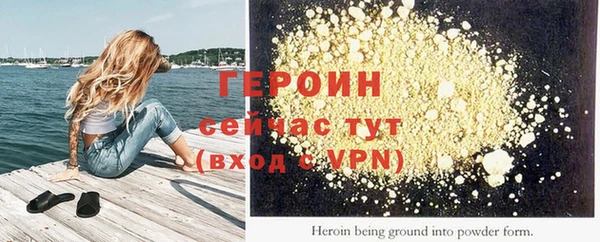 прущие грибы Новозыбков