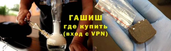 индика Новодвинск