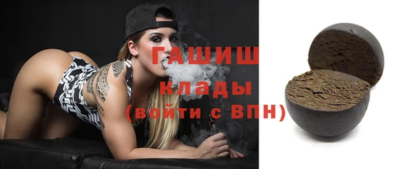 индика Новодвинск