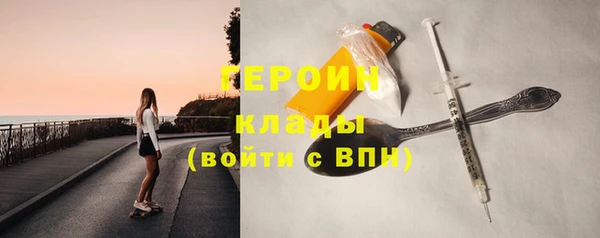 прущие грибы Новозыбков