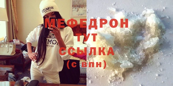 индика Новодвинск