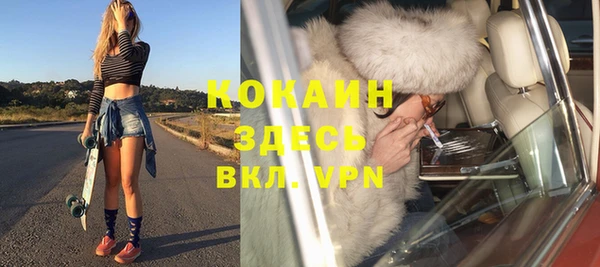 индика Новодвинск