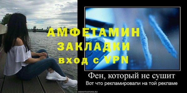 индика Новодвинск