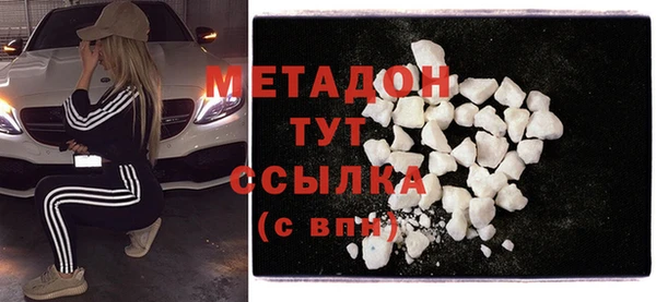 прущие грибы Новозыбков