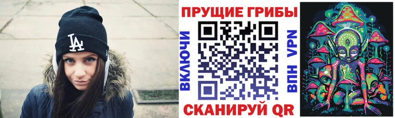 гидра tor  сколько стоит  Межгорье  Галлюциногенные грибы GOLDEN TEACHER 